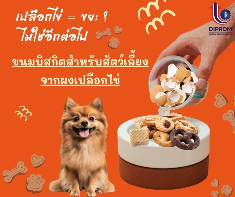 พารู้จัก "บิสกิตเปลือกไข่" ขนมสำหรับน้องหมา ที่อัดแน่นด้วยแคลเซียมจากธรรมชาติ แถมช่วยลดขยะอาหาร!