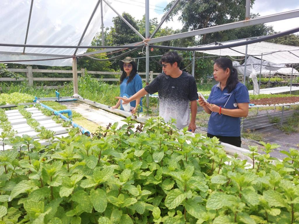 DIPROM Center 7 ลงพื้นที่ยโสธร ติดตามและให้คำปรึกษา พัฒนาผู้ประกอบการด้วยนวัตกรรมดิจิทัล