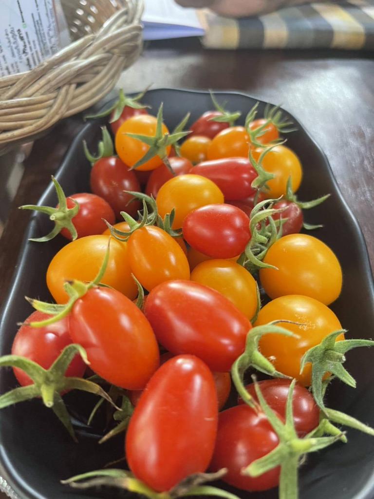 DIPROM Center 7 ลงพื้นที่ติดตามโครงการยกระดับศักยภาพเศรษฐกิจชุมชน เสริมความเข้มแข็งเครือข่ายวิสาหกิจชุมชน จ.อุบลราชธานี