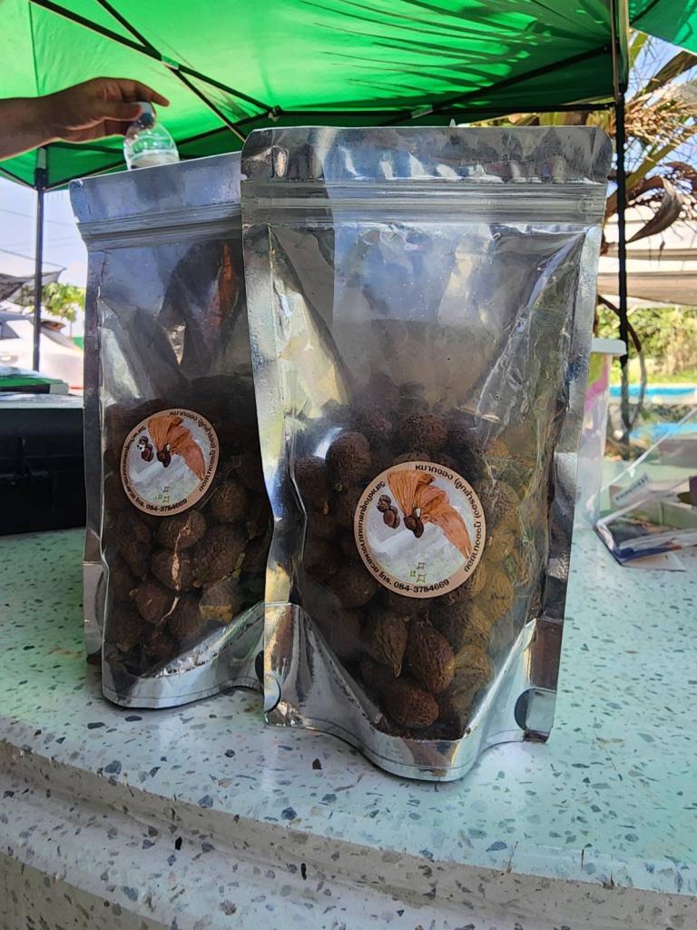 DIPROM Center 7 ลงพื้นที่อุบลราชธานี พัฒนา “เจลลี่หมากจอง” ต่อยอดอัตลักษณ์ท้องถิ่นสู่ Future Food