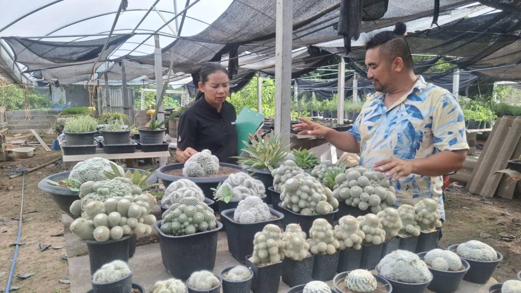 DIPROM Center 7 ลงพื้นที่ติดตามและประเมินศักยภาพต้นแบบชุมชนเกษตรหัวขบวน