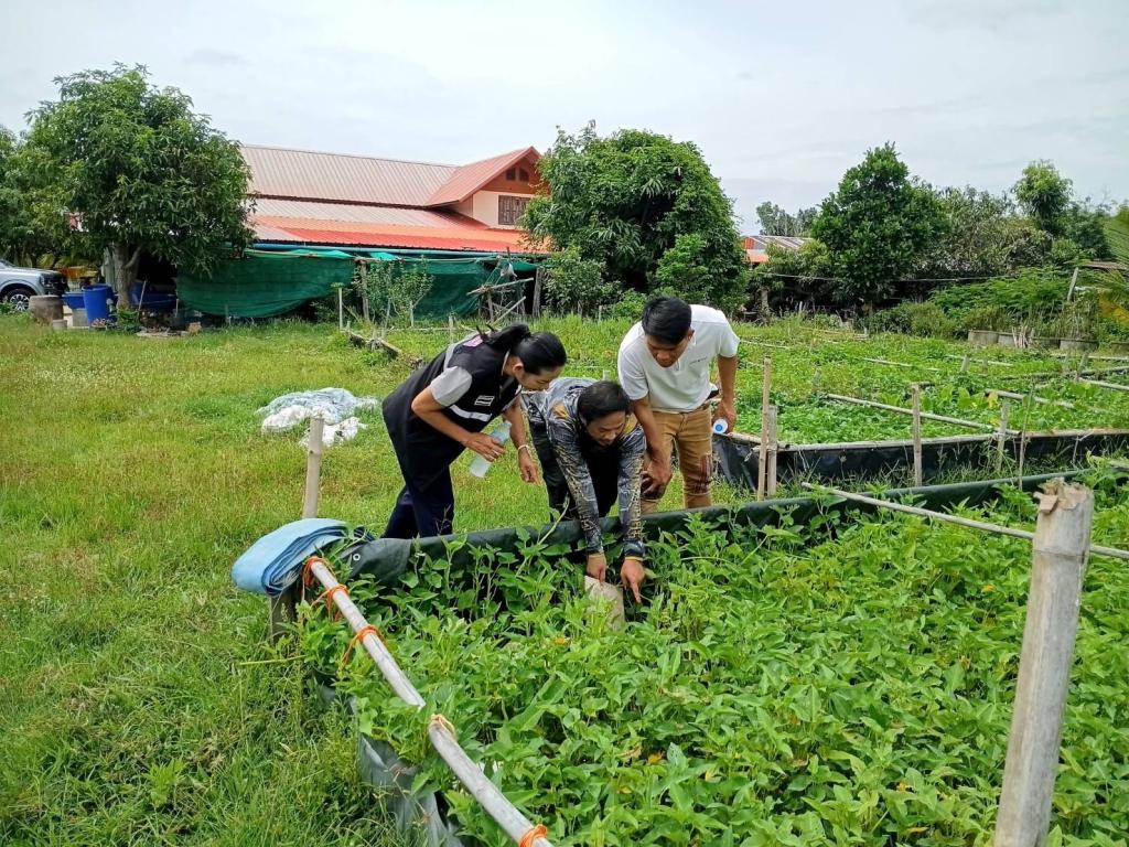 DIPROM Center 7 ลงพื้นที่ติดตามการพัฒนาต้นแบบชุมชนเกษตร เดินหน้ายกระดับสินค้าเกษตรสู่เกษตรอุตสาหกรรม