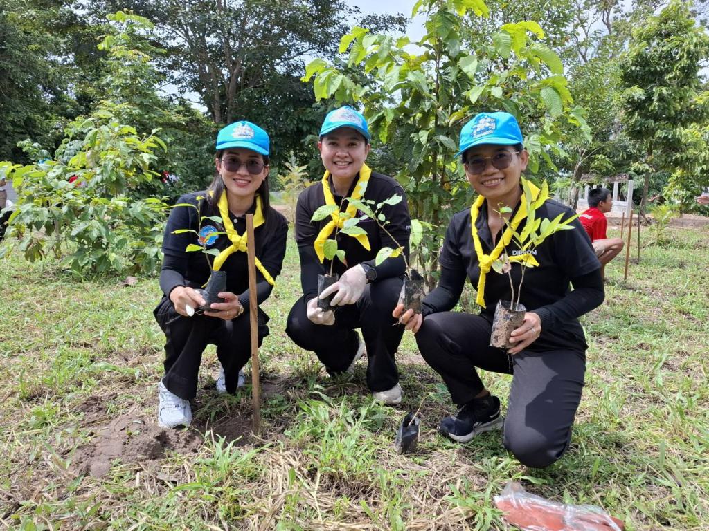 DIPROM Center 7 ร่วมกิจกรรมปลูกป่า เฉลิมพระเกียรติ เนื่องในวันคล้ายวันพระราชสมภพ พระบาทสมเด็จพระเจ้าอยู่หัว