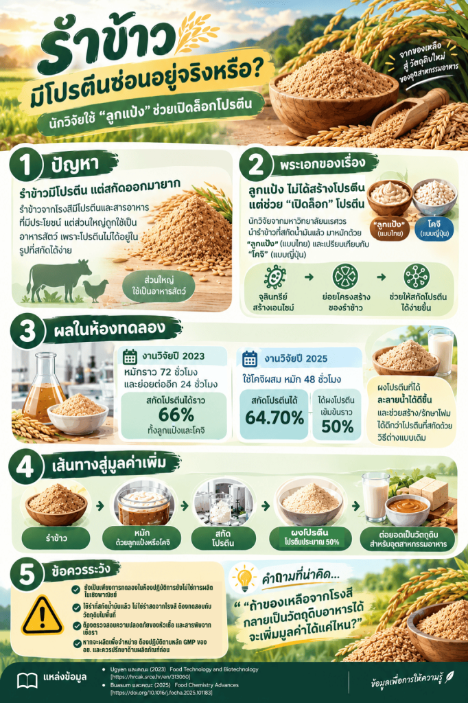 รำข้าว ของเหลือจากโรงสี…อาจกลายเป็นโปรตีนมูลค่าสูง