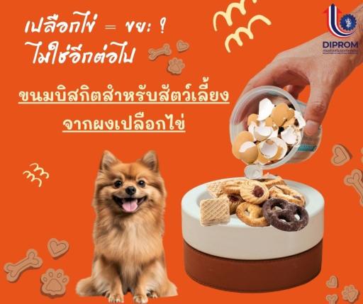 พารู้จัก "บิสกิตเปลือกไข่" ขนมสำหรับน้องหมา ที่อัดแน่นด้วยแคลเซียมจากธรรมชาติ แถมช่วยลดขยะอาหาร!