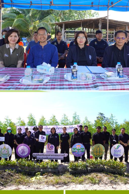 DIPROM Center 7 ผนึกกำลังภาครัฐ-เอกชน  จัดกิจกรรมส่งเสริม“ป่าปลูกพันธสัญญาเพื่อความยั่งยืน