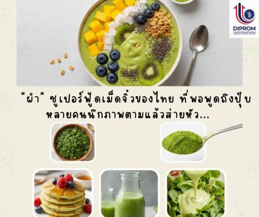 "ผำ" ซูเปอร์ฟู้ดเม็ดจิ๋วของไทย ที่พอพูดถึงปุ๊บ หลายคนนึกภาพตามแล้วส่ายหัว...