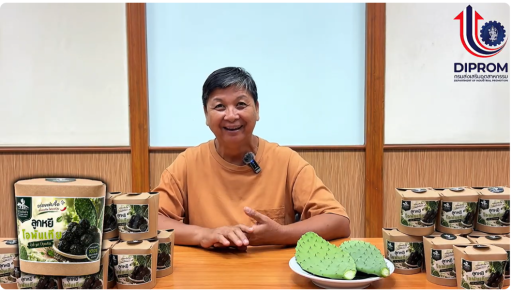 ส่งเสริมการแปรรูปกระบองเพชร สร้างมูลค่าเพิ่มให้ผลผลิตทางการเกษตร ต่อยอดสู่ผลิตภัณฑ์ “ลูกหยีกระบองเพชร” ของไร่วันยังขำ