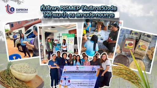 Success Case จากจุดเล็ก ๆ สู่ความยิ่งใหญ่ของชุมชน ของวิสาหกิจชุมชนข้าวอินทรีย์นาหนองพี่โมเดล 2