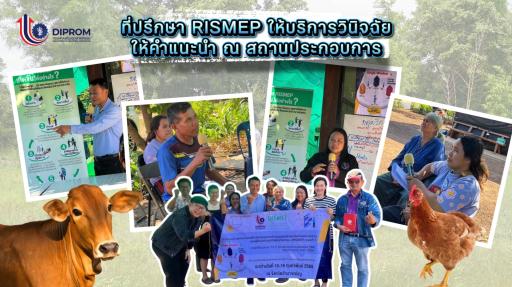 Success Case จากวิกฤต... สู่พลังของการรวมกลุ่ม ของวิสาหกิจชุมชนกลุ่มผู้เลี้ยงโคกระบือเพื่อการเกษตร 2